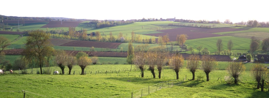 vlaamse-ardennen